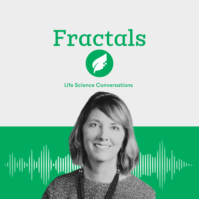 Episode - Fractals - Mary Costello