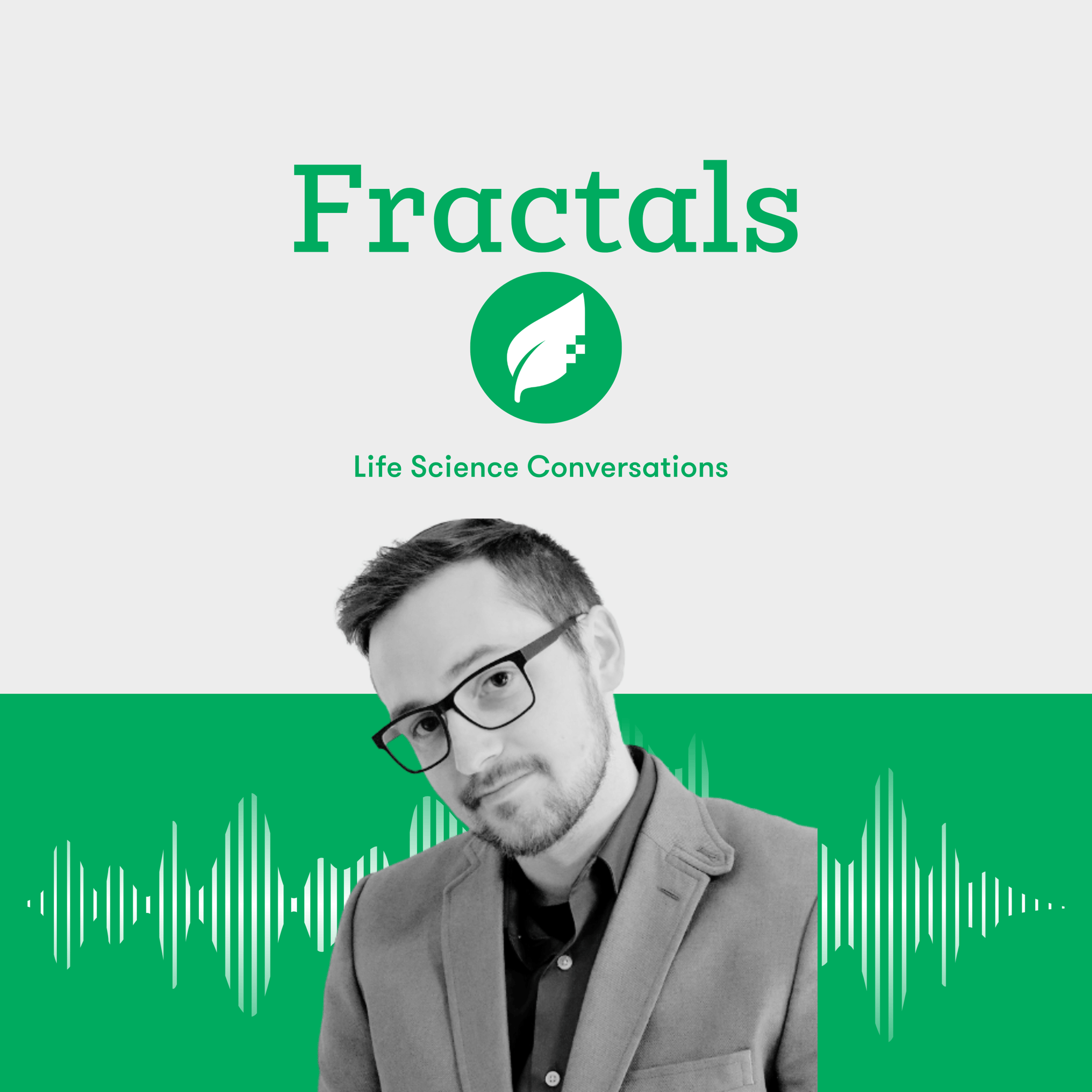 Ben Mitchell: Fractals