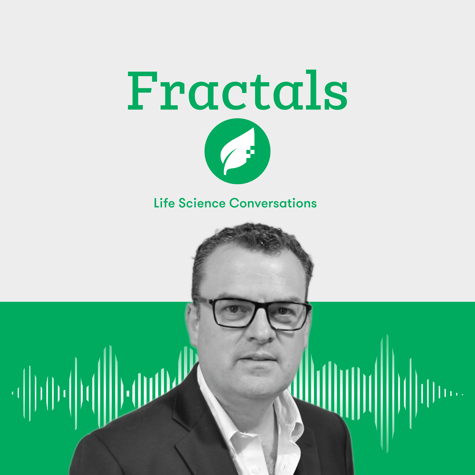 Martin Collyer: Fractals